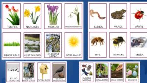 Pavasaris, attēlu kartītes, pirmās