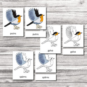 Putna ķermeņa daļas