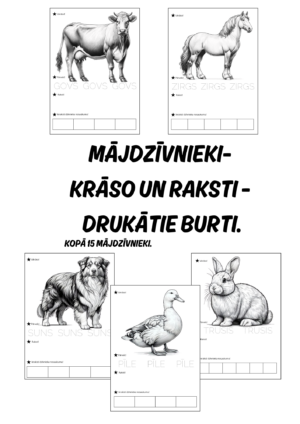 Mājdzīvnieki – krāso un raksti – drukātie burti.