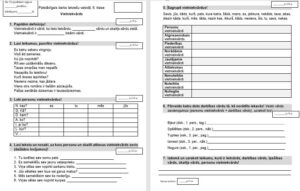 Vietniekvārds, 6. klase, formatīvā vērtējuma darbs.