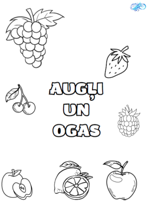 Augļi un ogas
