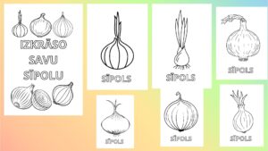 Izkrāso savu sīpolu