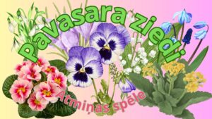 Atmiņas spēle “Pavasara ziedi”