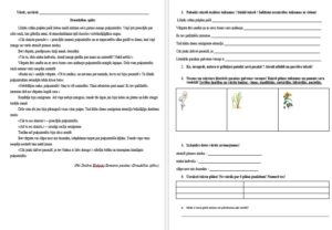 Darbs ar tekstu – Puķuzirnītis 4. – 5.klase.