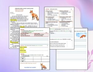 TND latviešu valodā 4.klasei.