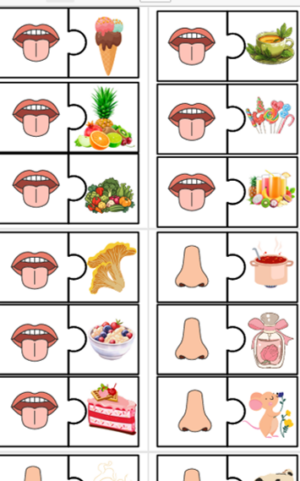 Puzle – piecas maņas.