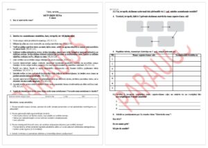 Mutvārdu runa (ievadstunda) 9. klase