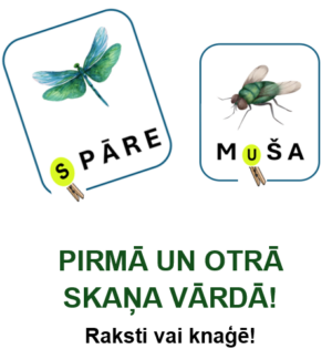 Pirmā un otrā skaņa vārdā.