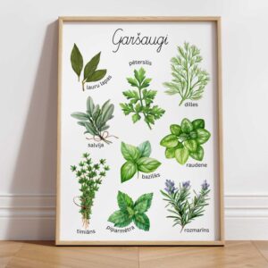 Plakāts “Garšaugi”