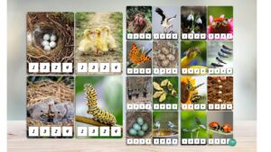 KNAĢU SKAITĪŠANAS kartītes – PAVASARIS, 60 kartītes