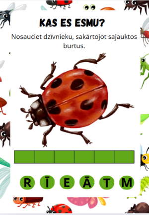 Kas es esmu – kukaiņi ?
