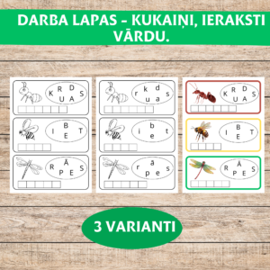 Darba lapas – kukaiņi, ieraksti vārdu.