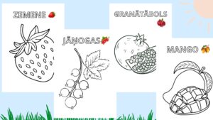 Izkrāso un iepazīsti ogas un augļus