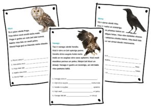 Darbs ar tekstu. Pazudušie vārdi. Putni.