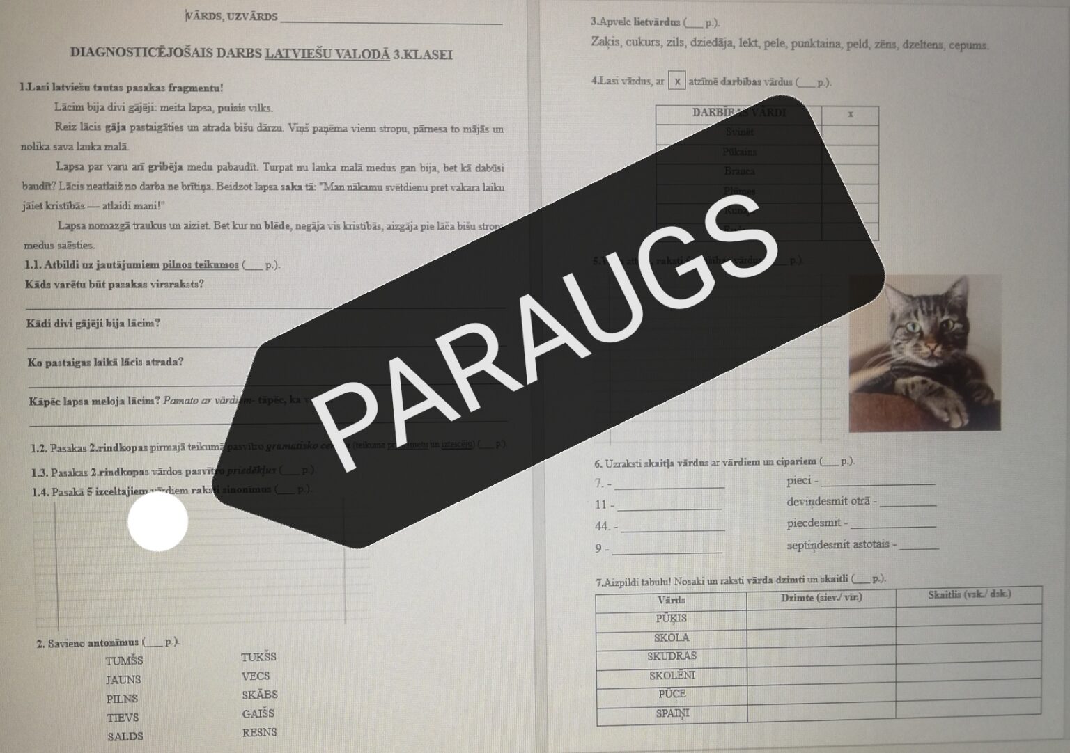 DD Latvie u Valod 3 klasei M c bu Materi li dd-latvie-u-valod-3-klasei-m-c-bu-materi-li