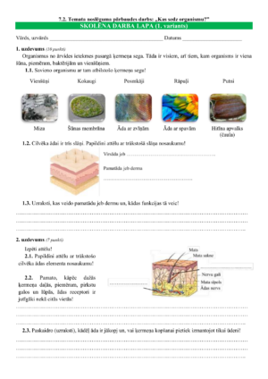 7.2. TND: „Kas sedz organismu?”