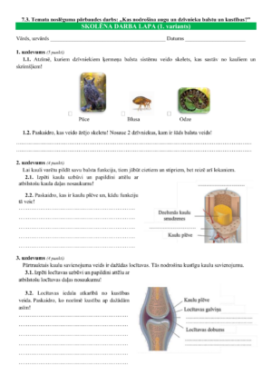 7.3. TND:Kas nodrošina augu un dzīvnieku balstu un kustības?