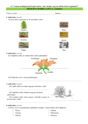 4.1. TND: „Kā vairojas, aug un attīstās dzīvie organismi?”