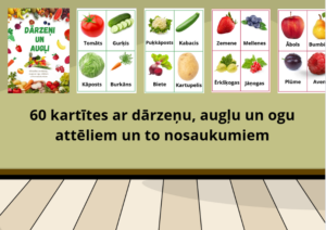 Dārzeņi, augļi, ogas. 60 kartītes