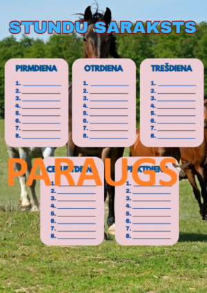 Stundu saraksts- zirgi