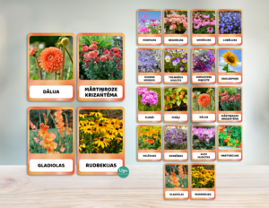 KARTĪTES – RUDENS PUĶES