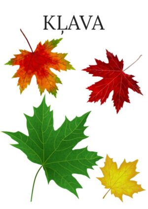 Koku lapas – iepazīsti, atpazīsti un izkrāso!