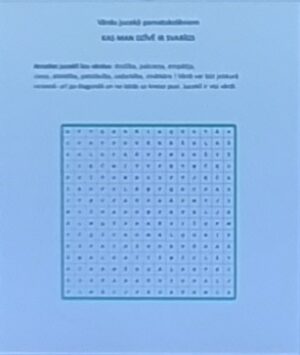 Vārdu jucekļi pamatskolēniem ”KAS MAN DZĪVĒ IR SVARĪGS”