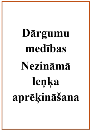 Dārgumu medības (scavenger hunt) nezināmā leņķa aprēķināšana