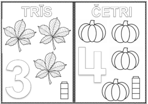 SKAITĪŠANA 10 APJOMĀ