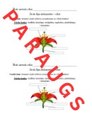 4.1. Kā vairojas, aug un att. augi? Apputeksnēšanās, uzbūve