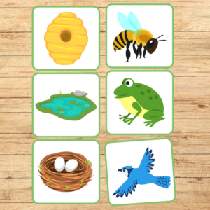 Dzīvnieki un to mājas – kartītes