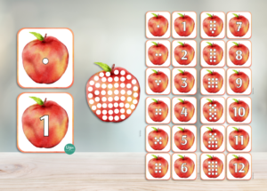 CIPARU spēle – ĀBOLI | RUDENS