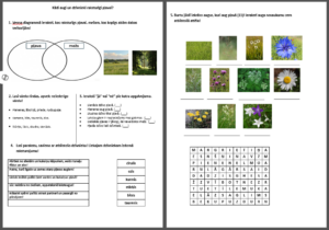 Kādi augi un dzīvnieki raksturīgi pļavai?