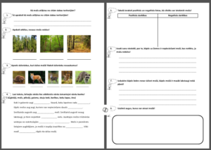 Kā mežs atšķiras no citām dabas teritorijām?