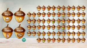 LASĪŠANAS SPĒLE – KOŠĀS ZĪLES | RUDENS