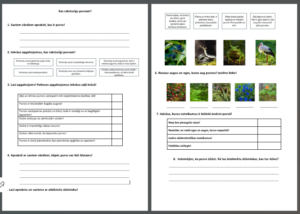 Kas raksturīgs purvam?