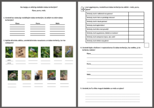 Kas kopīgs un atšķirīgs dabas teritorijām?Pļava, purvs, mežs