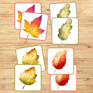 Pāru spēle, rudens lapas