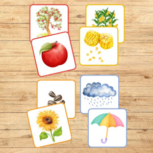 Sakarības un loģika, rudens, kartītes