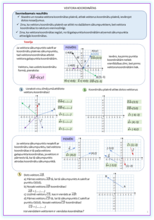 VEKTORA KOORDINĀTAS