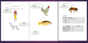 1.1. Dzīvo būtņu ķermeņa daļas