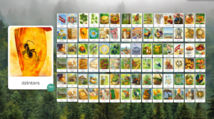 LASĀMKARTĪTES – LATVIJA | MAZIE drukātie burti