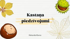 Kastaņa piedzīvojumi