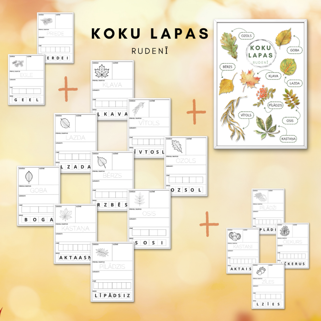 koku-lapas-ruden-m-c-bu-materi-li