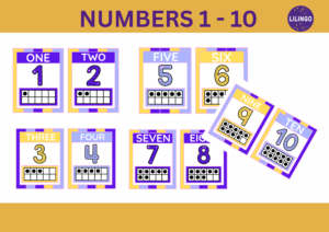 FLASHCARDS “NUMBERS 1-10”