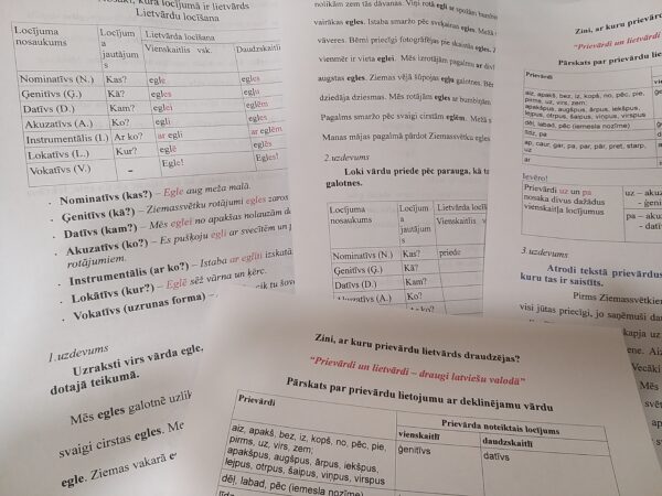 Lietvārda locījuma noteikšana Lietvārda locījuma noteikšana