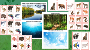 Atmiņas spēle un šķirošana