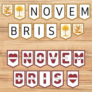 Novembris – karodziņi