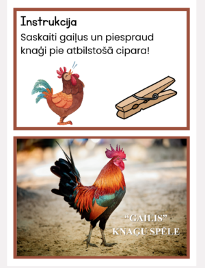 “Gailis”- knaģu spēle!