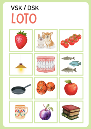 Vienskaitļa / daudzskaitļa loto